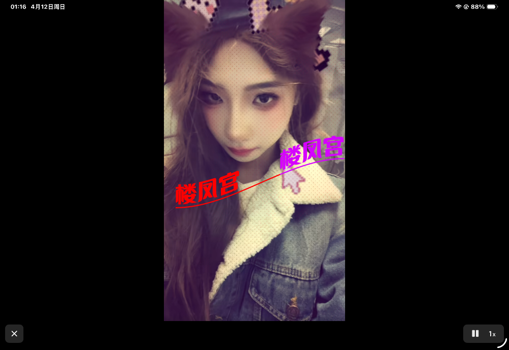 IMG_0038.png