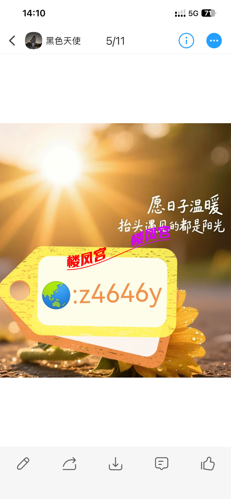 IMG_7884.png