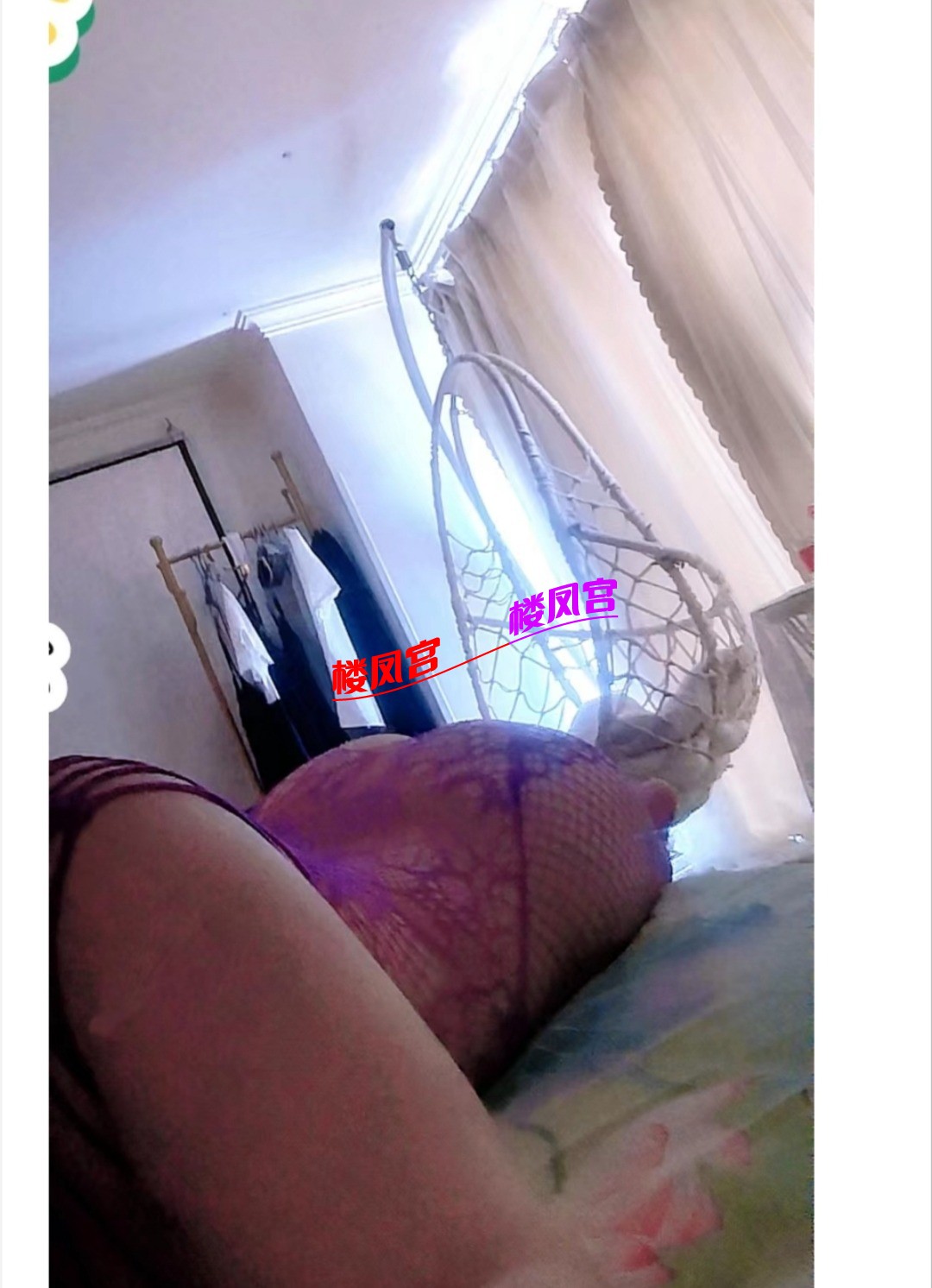 1000013225.jpg