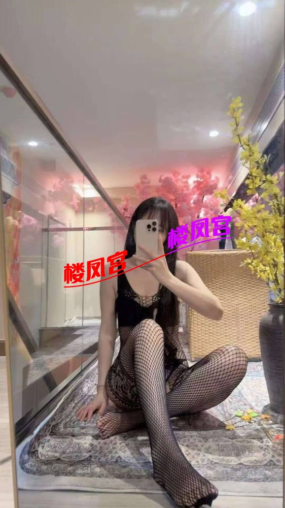 4004.jpg