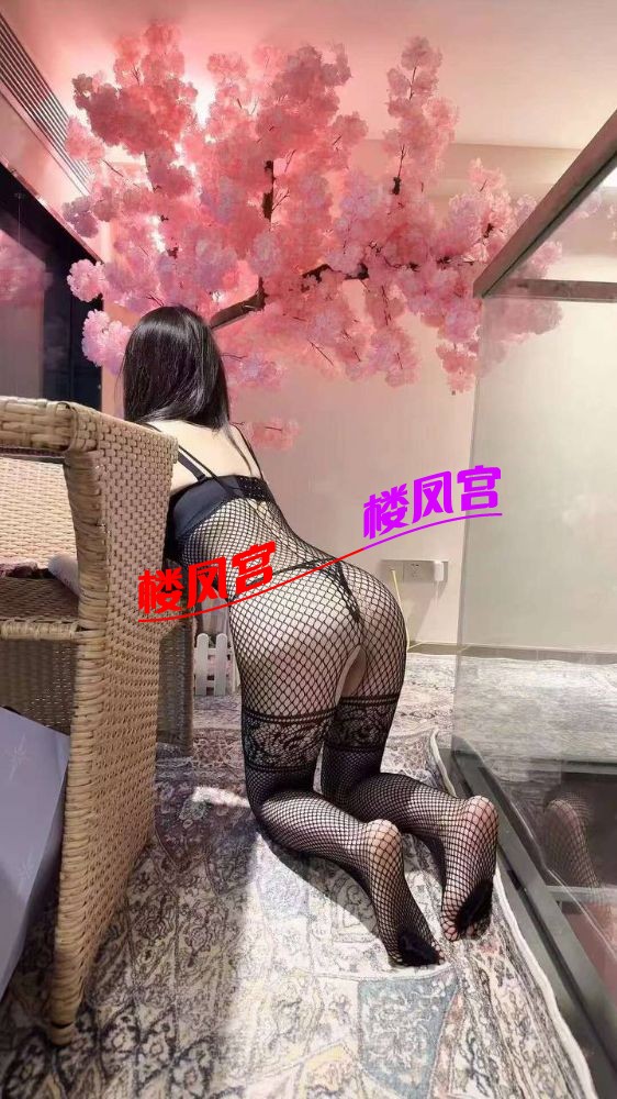 4005.jpg