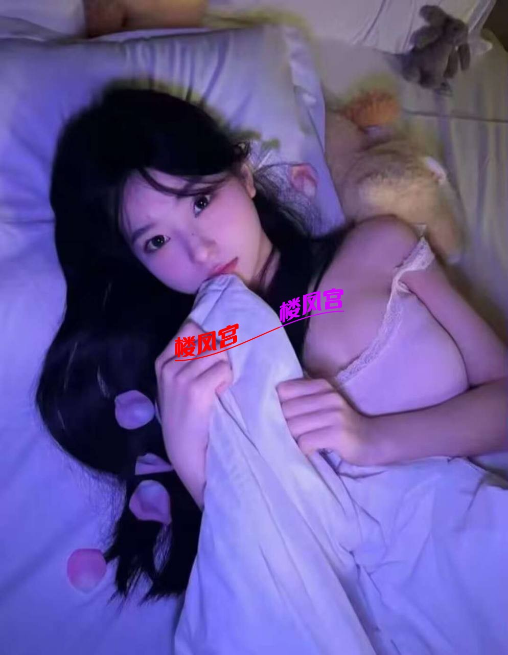 4798.jpg