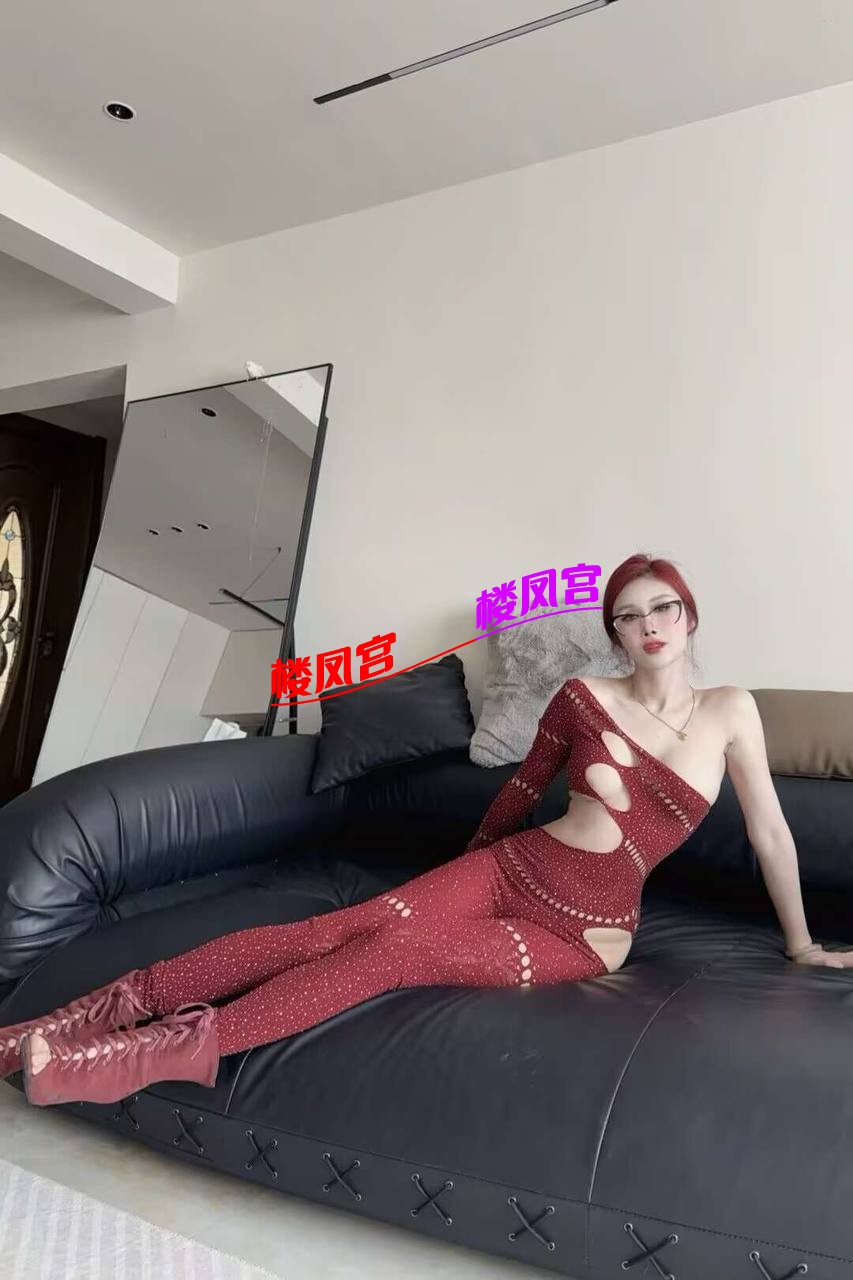 4833.jpg