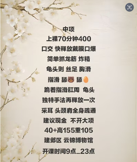 94d52ebd6fbbc41c2883c19f09b374c4.png