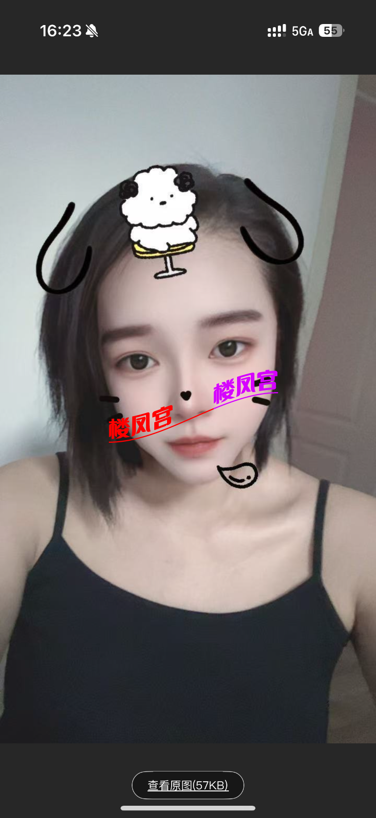 IMG_3779.png