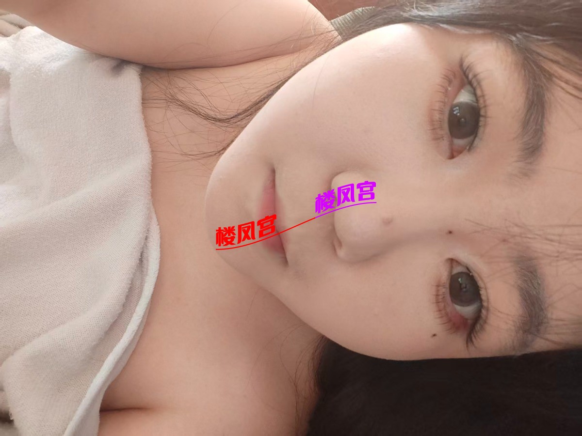 48818.jpg