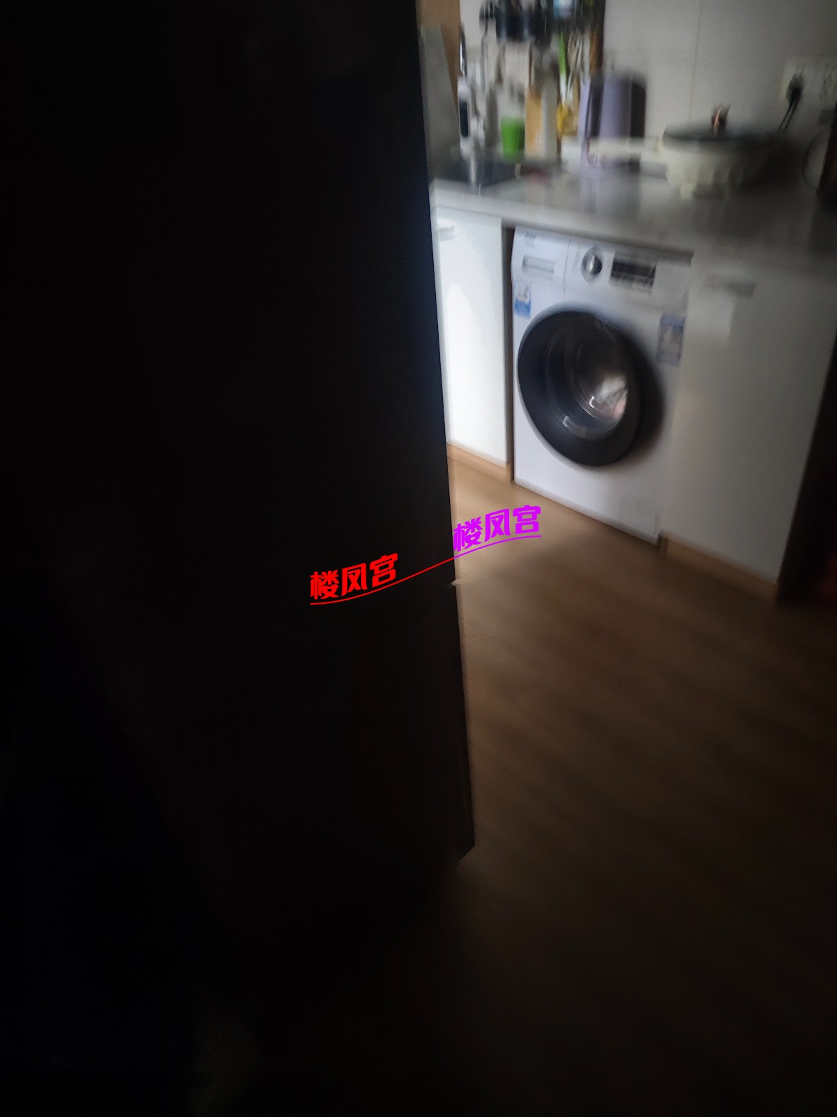 1000614744.jpg