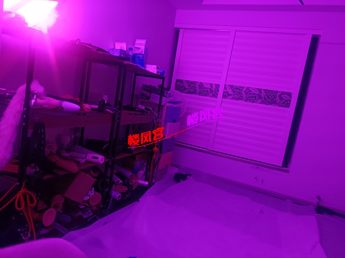 1000029061.jpg