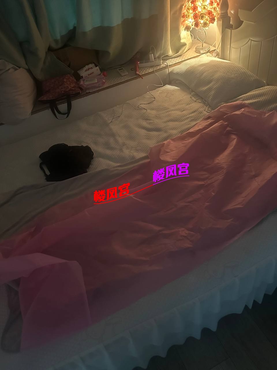 1038.jpg