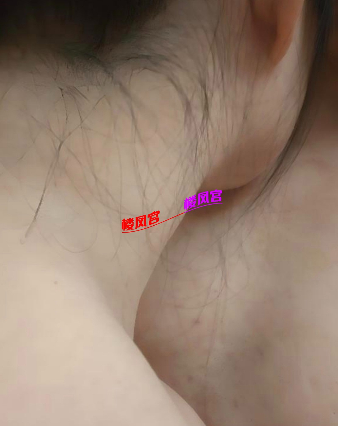 27563.jpg