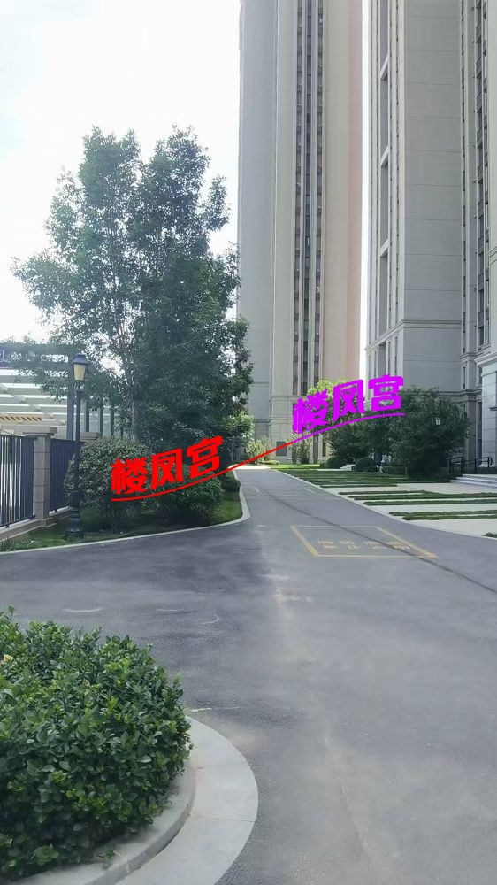 小区环境