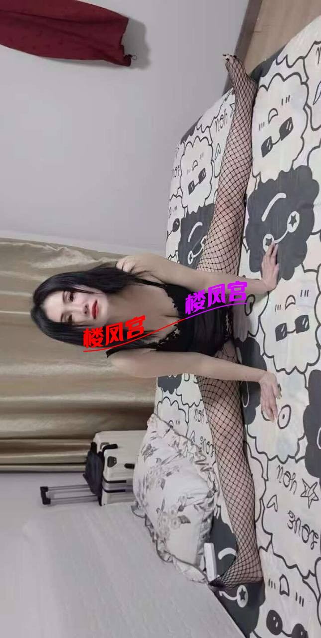 5186.jpg