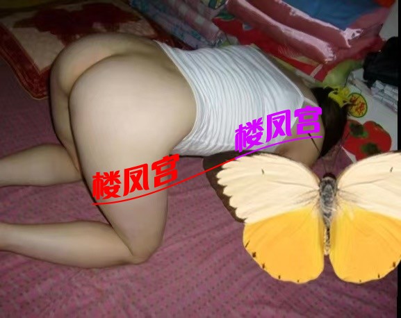 2.jpeg