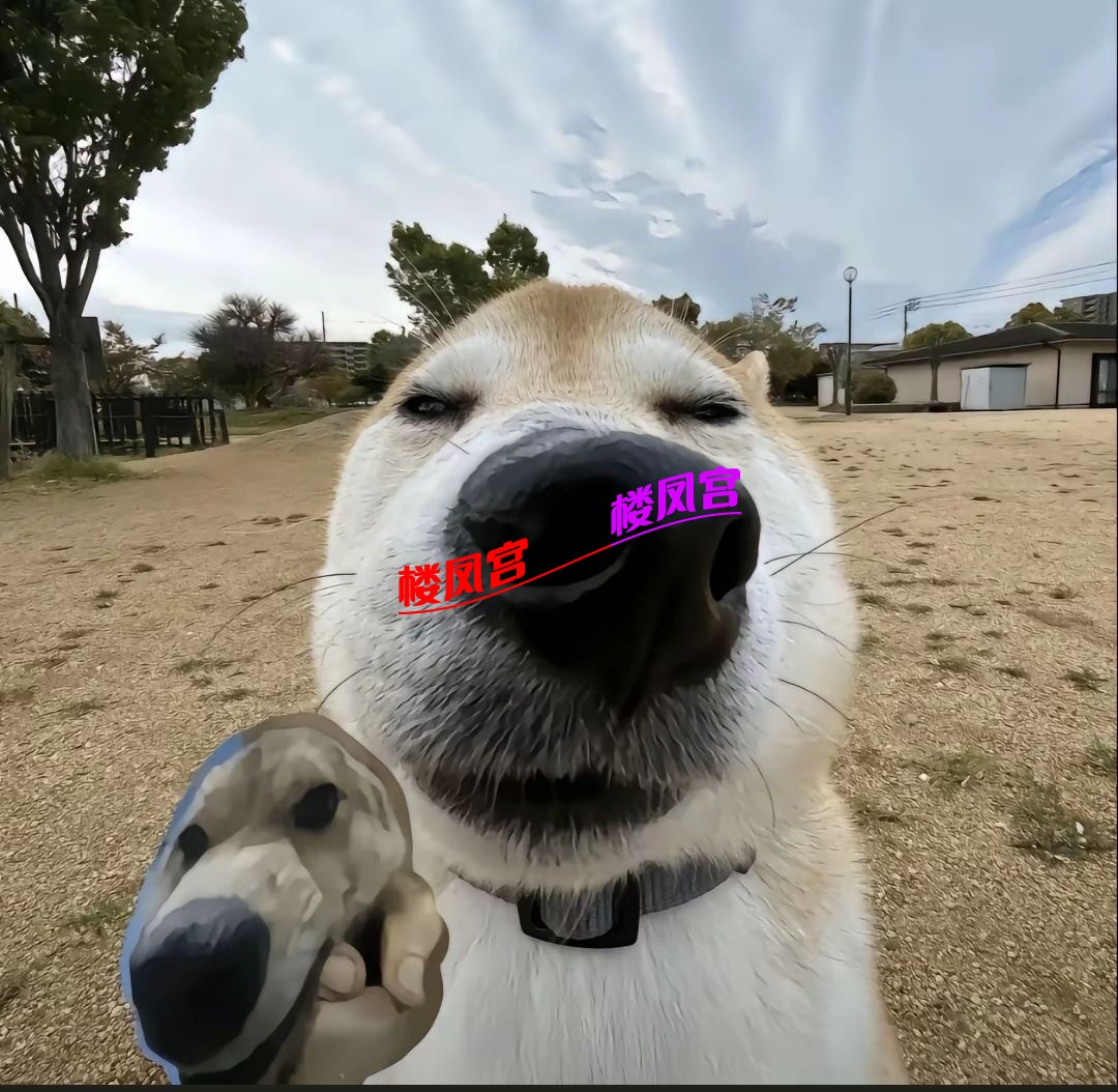 2441343865.jpeg