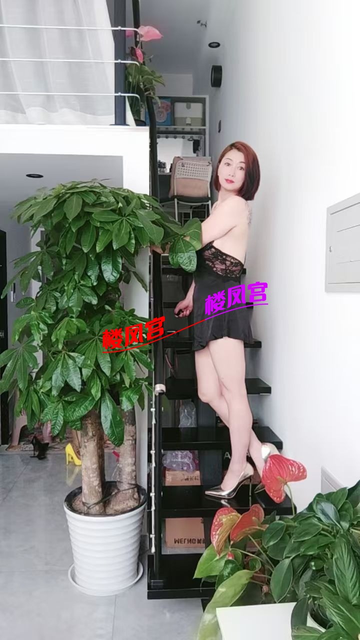 mmexport1736478856480.jpg