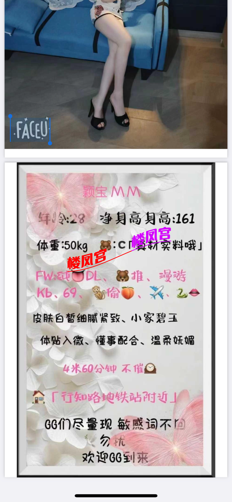 IMG_4492.png