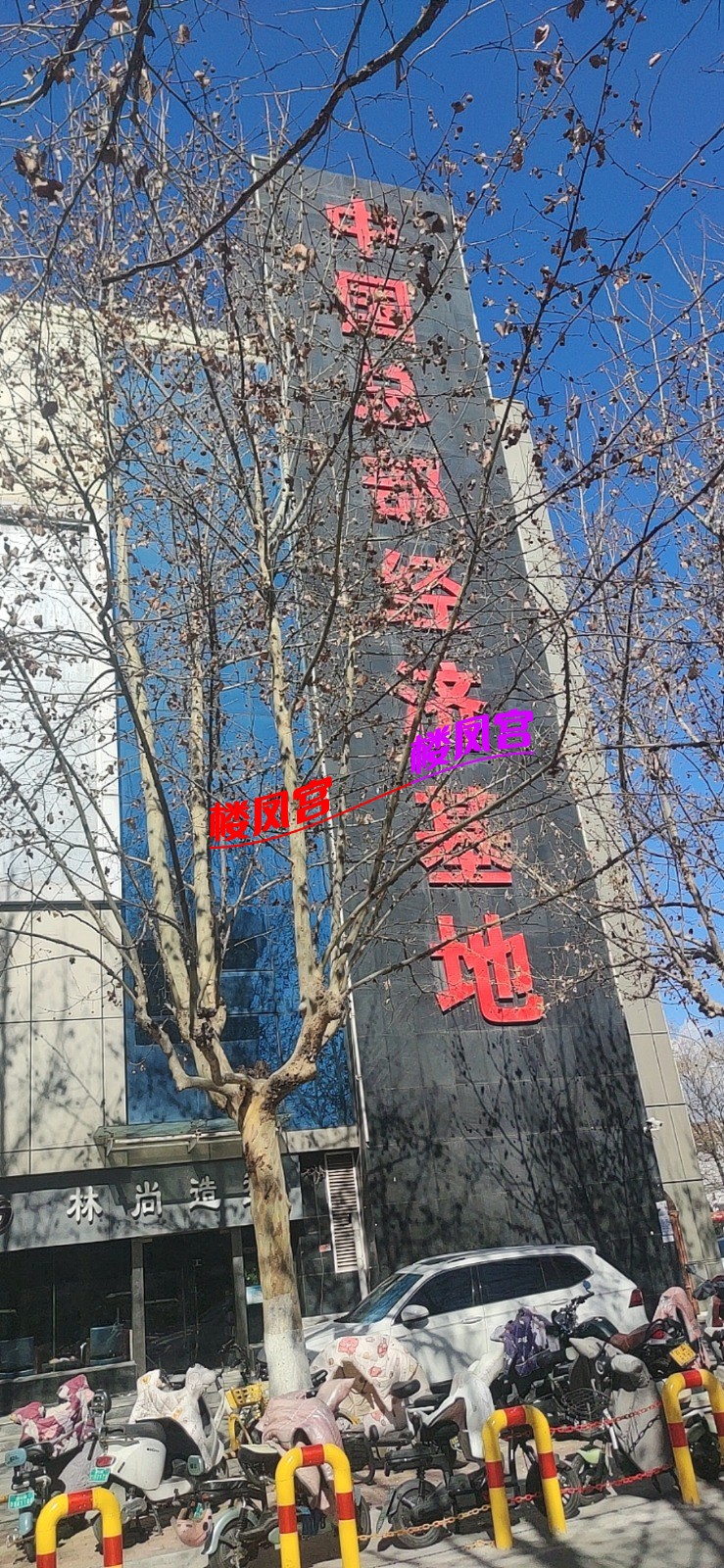 Image_1738990307797.jpg