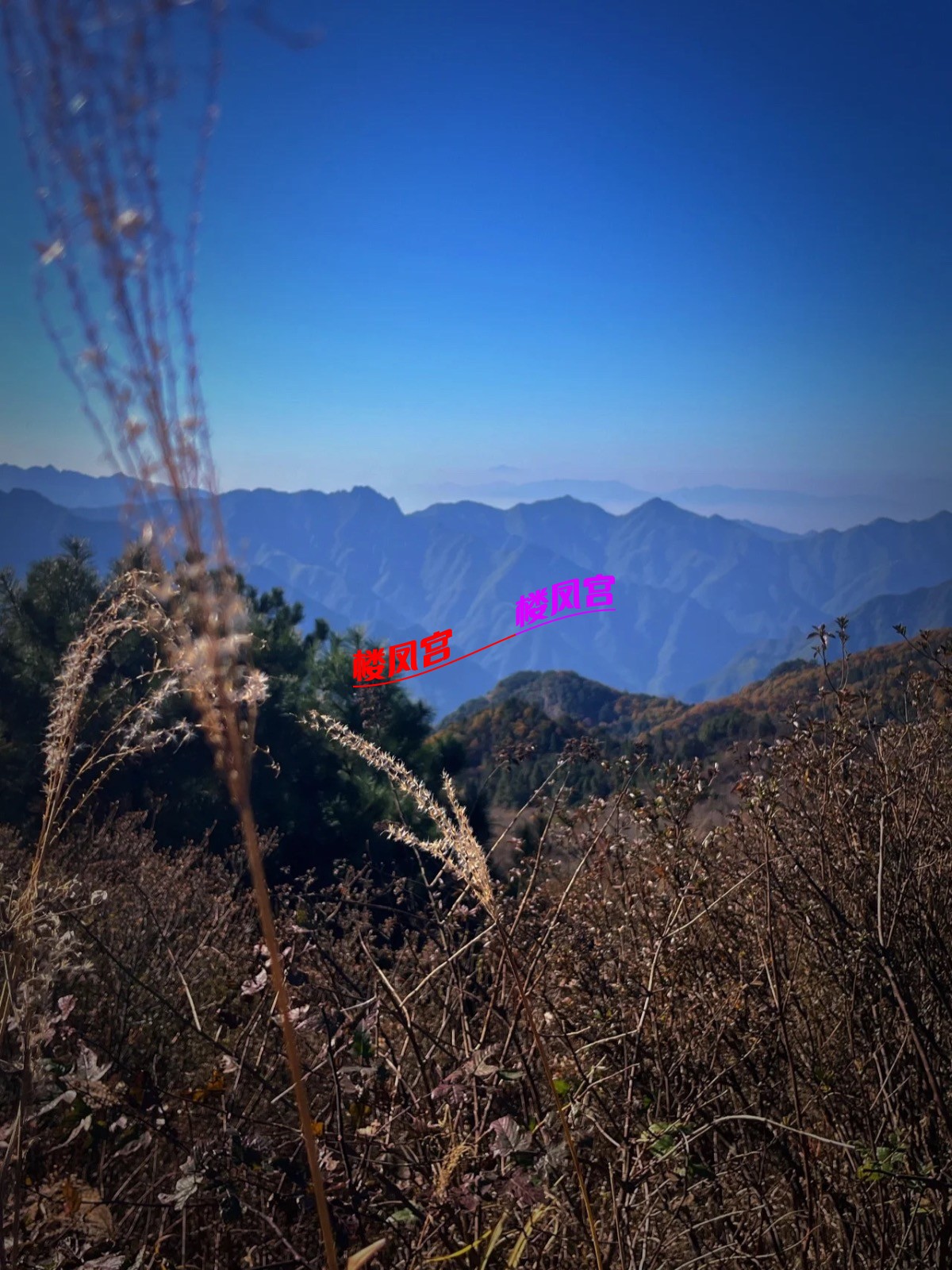 IMG_7881.jpeg