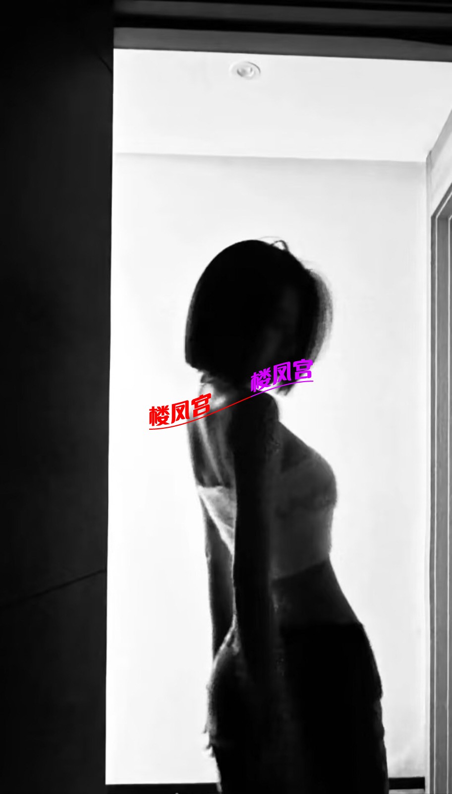 IMG_1269.jpeg