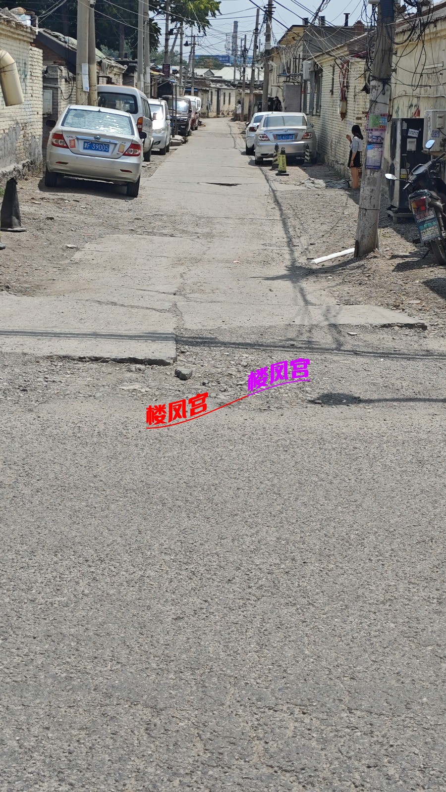 MVIMG_20250623_112925.jpg