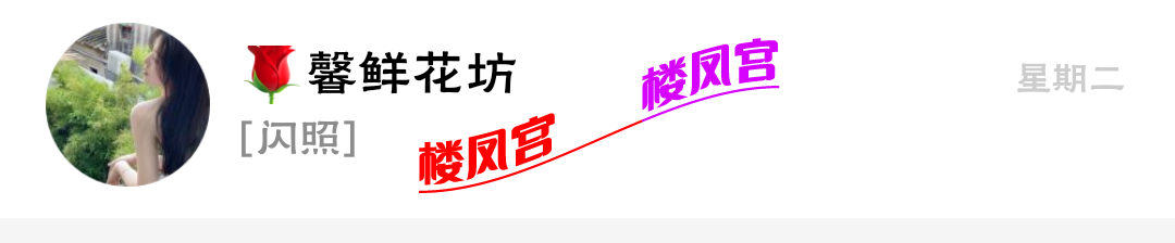 S50627-06551829_com.tencent.mobileqq.png