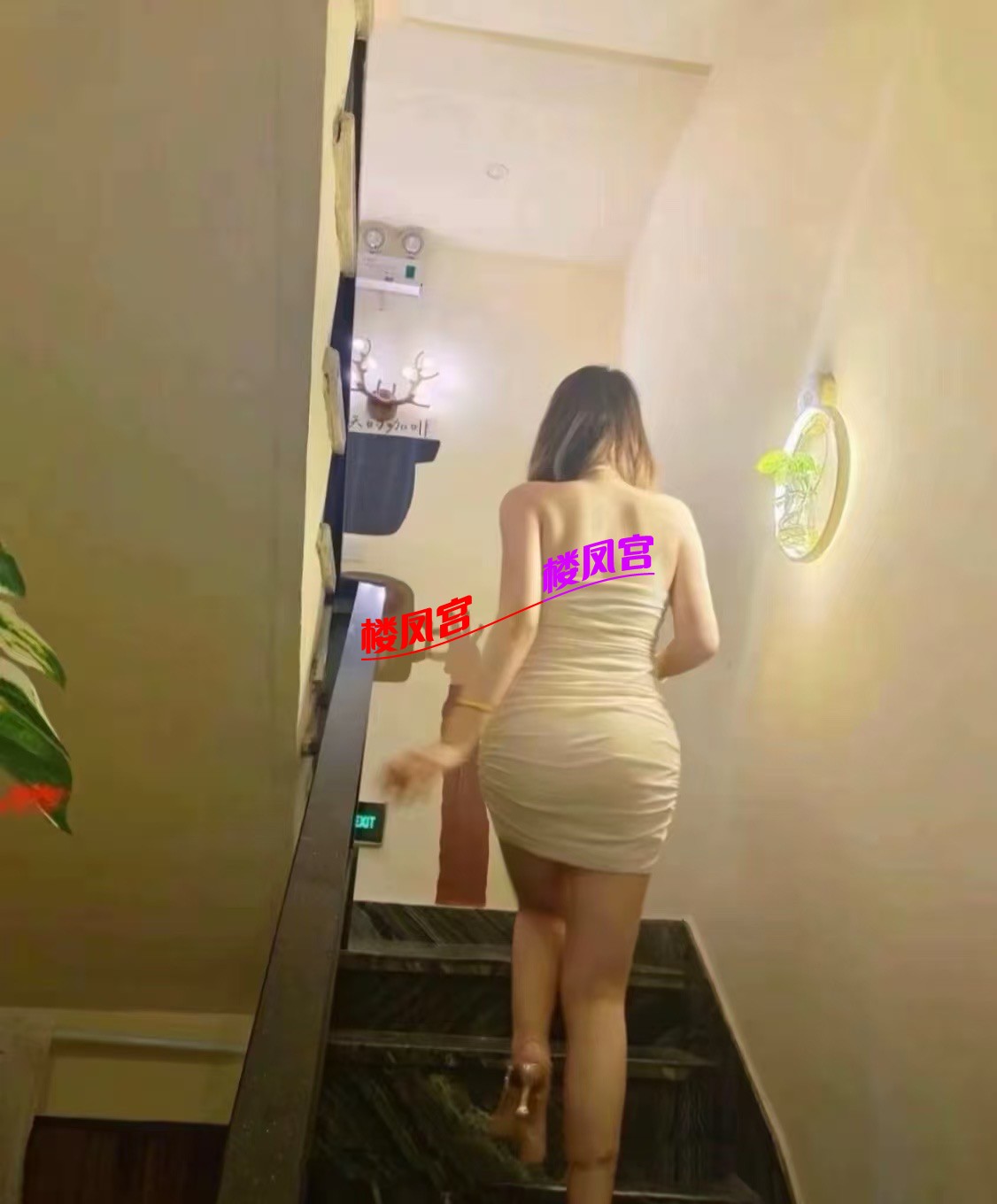 17a1e2b4c09b4246ad05178ba6fed40f.jpeg