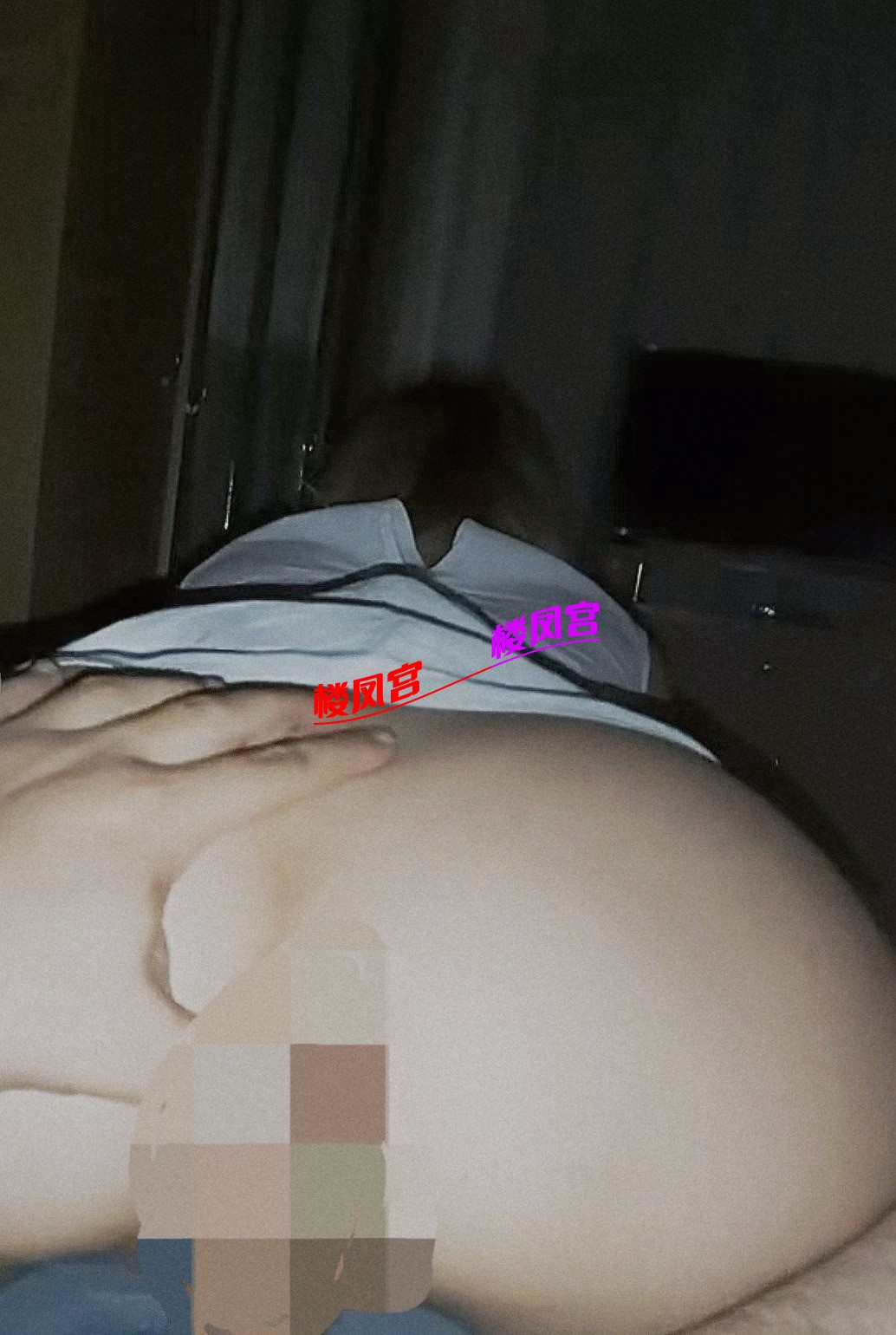 21449.jpg