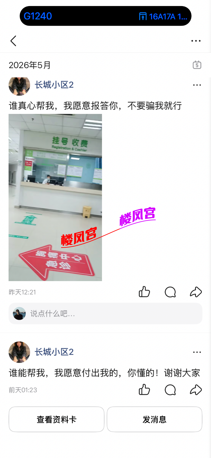 IMG_1437.png