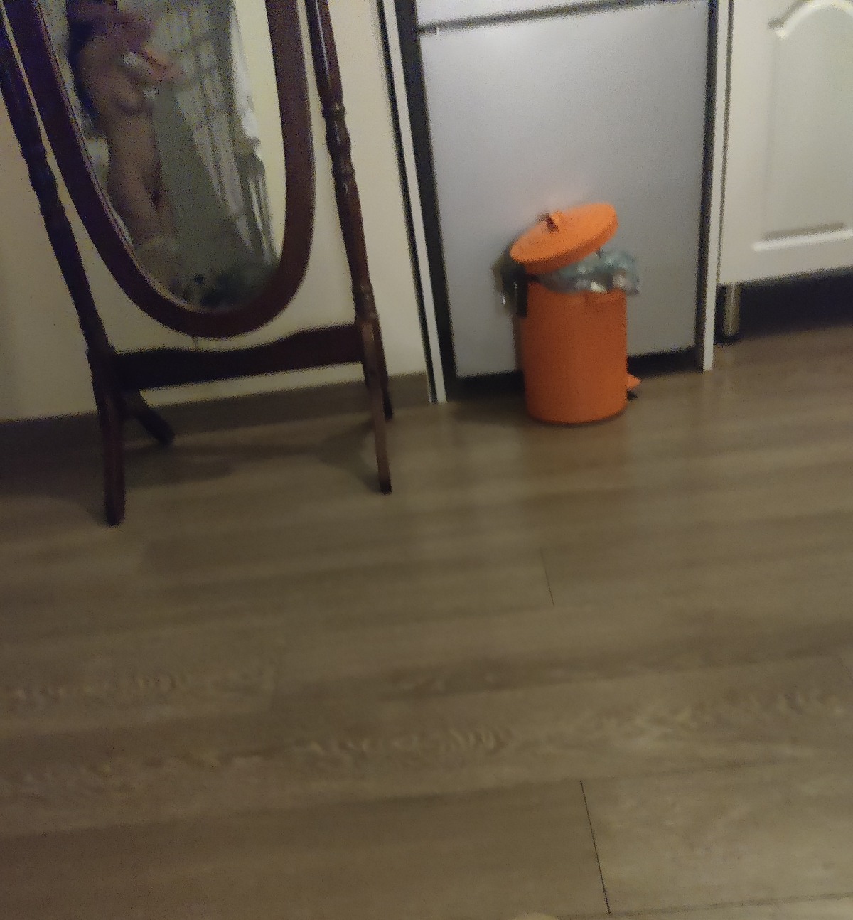 Image_1711639210341.jpg