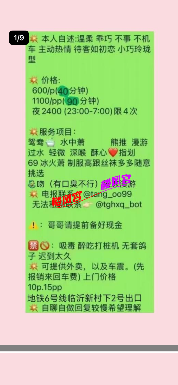 IMG_2767.png
