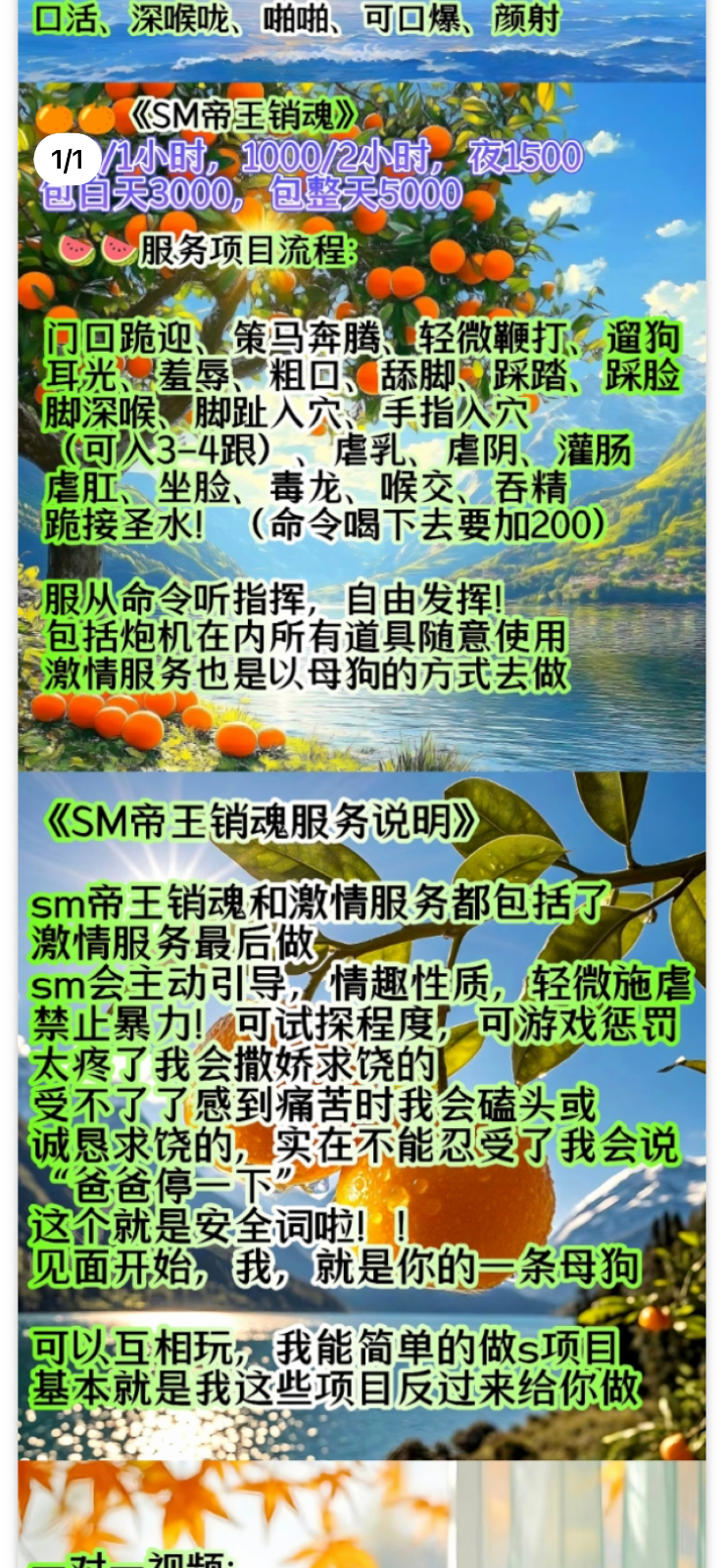 IMG_8739.png