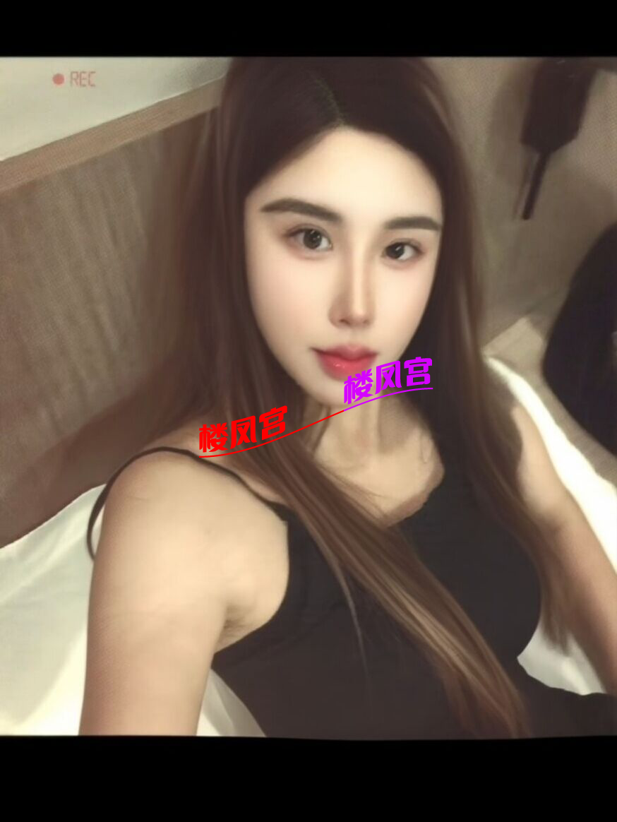 3B105C498CD8ECCD48101D78C32716C5.png