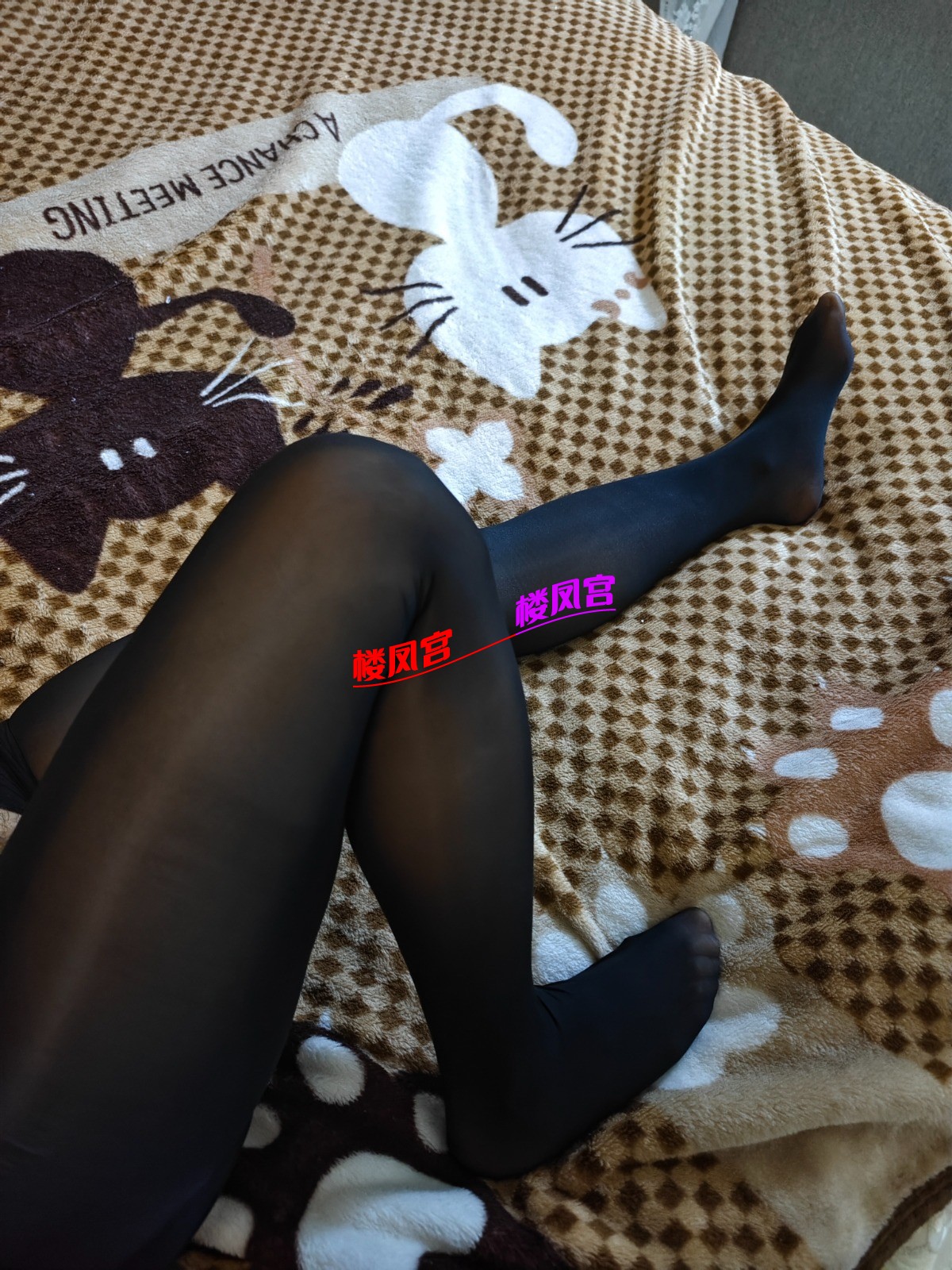 IMG_0306.jpeg