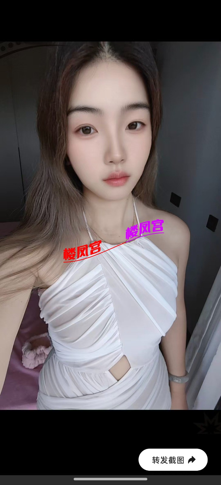 8517.jpg