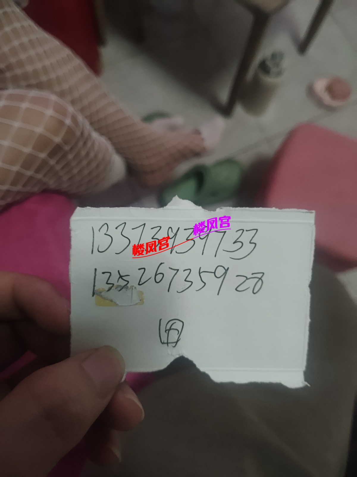 1000084700.jpg