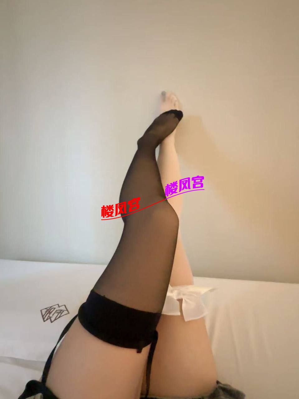 4147.jpg