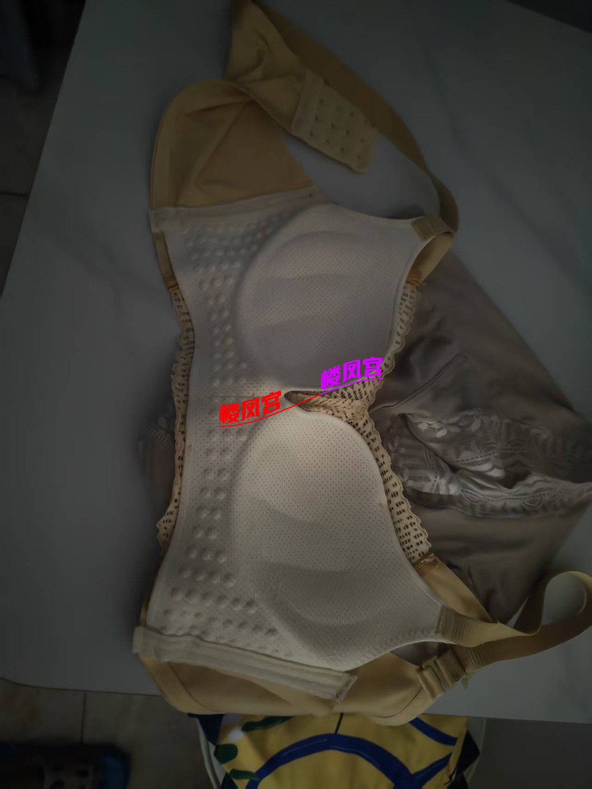 08ed7b126603a9823c556f2c044fd877.jpeg