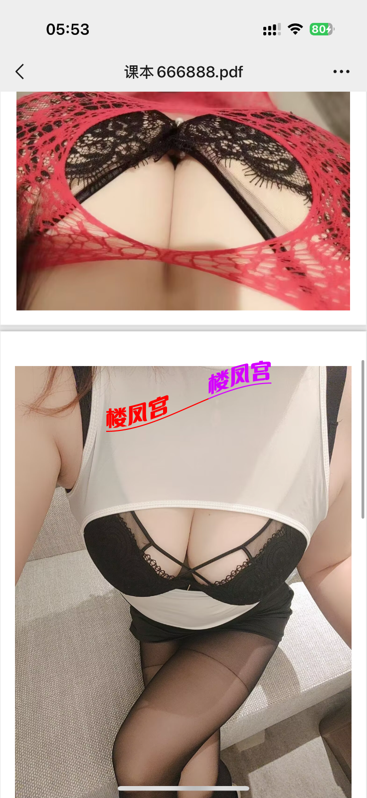 IMG_2438.png
