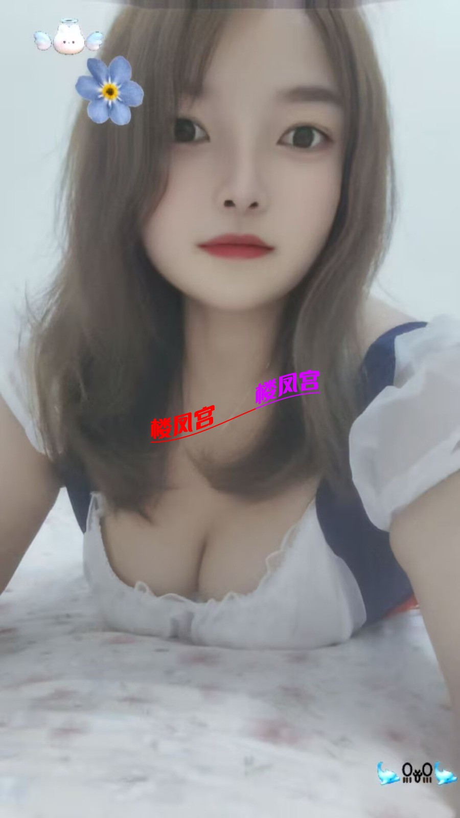 03303779.jpg