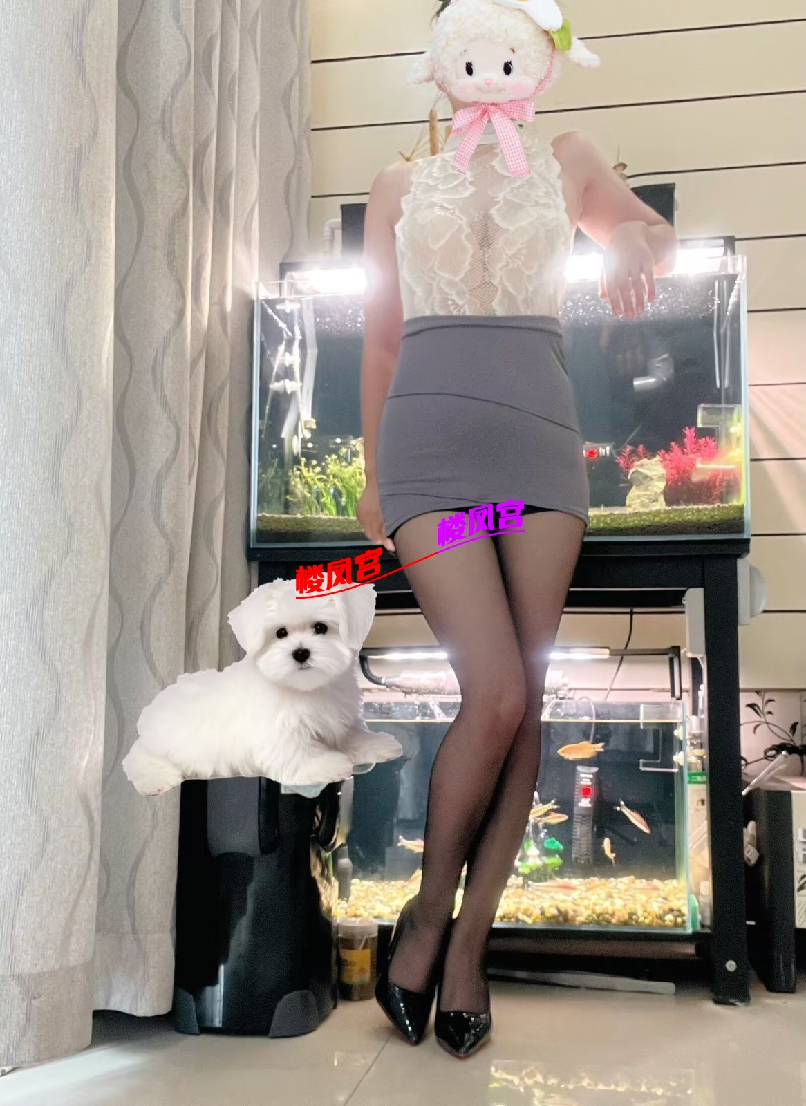 153252iqnvyve0eunhhseq.jpg