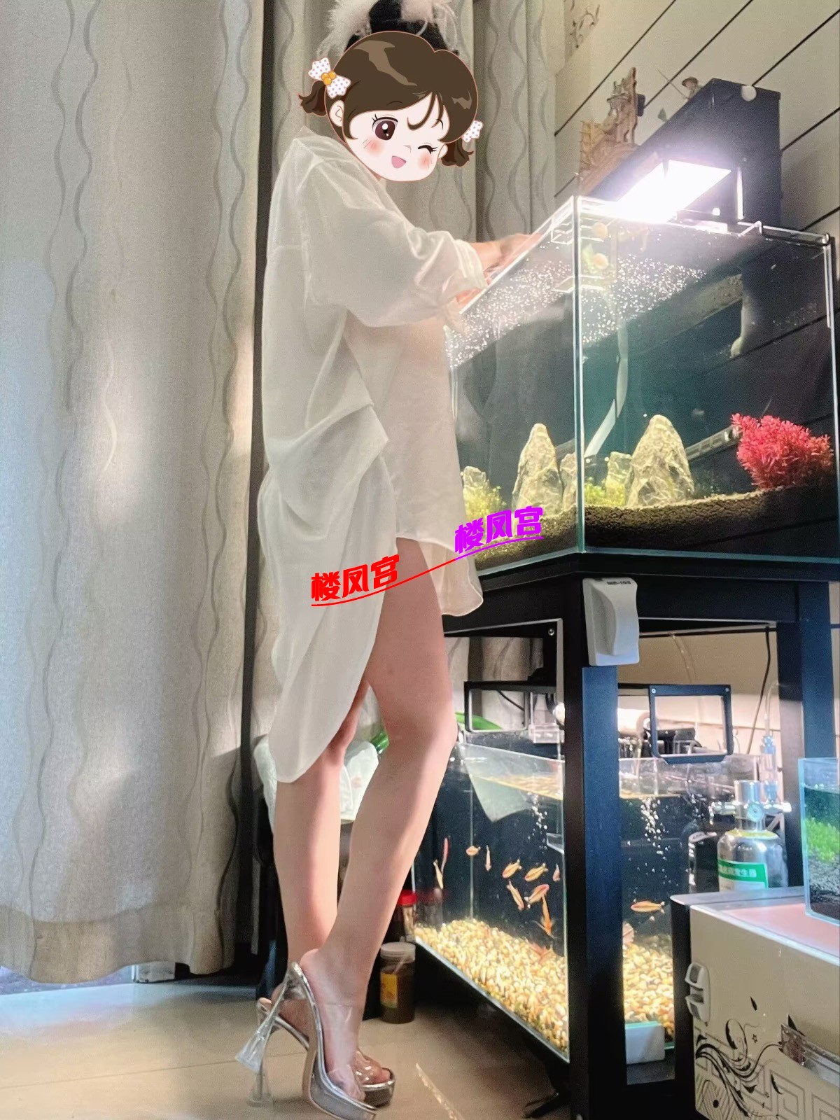 153252yknmrnnnikn2w1sr.jpg
