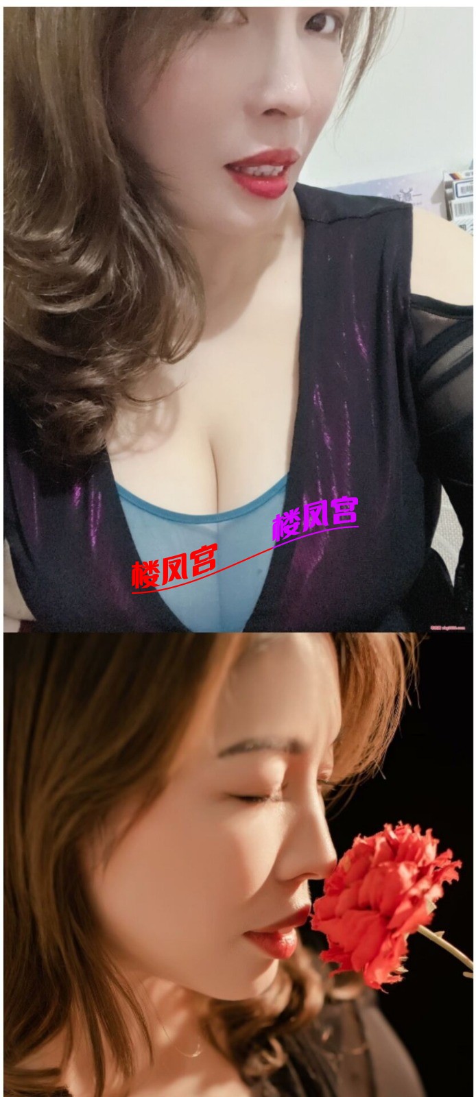 6279.jpg
