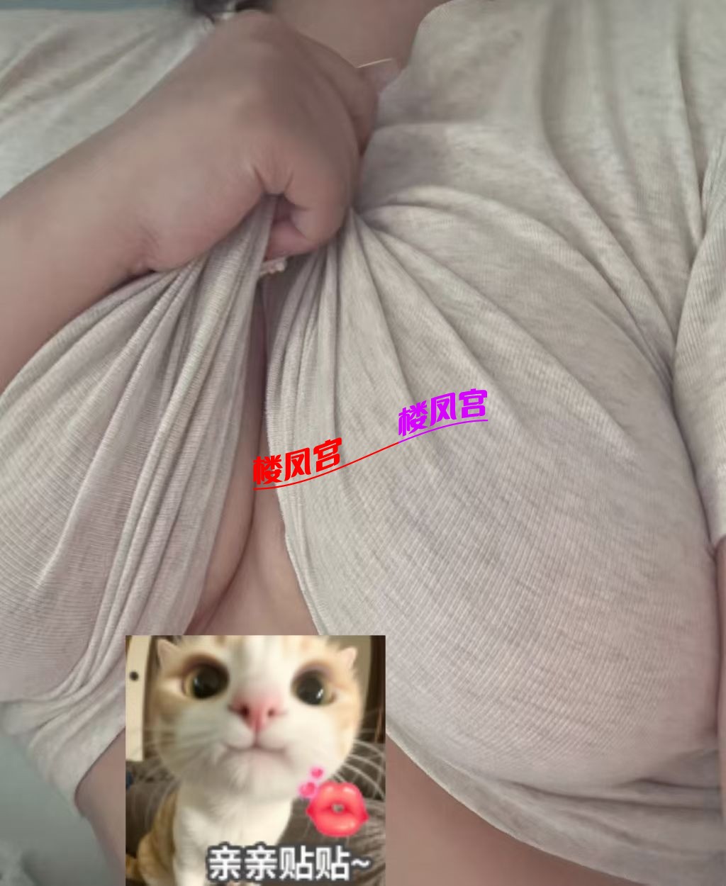 mmexport1786936472694.jpg