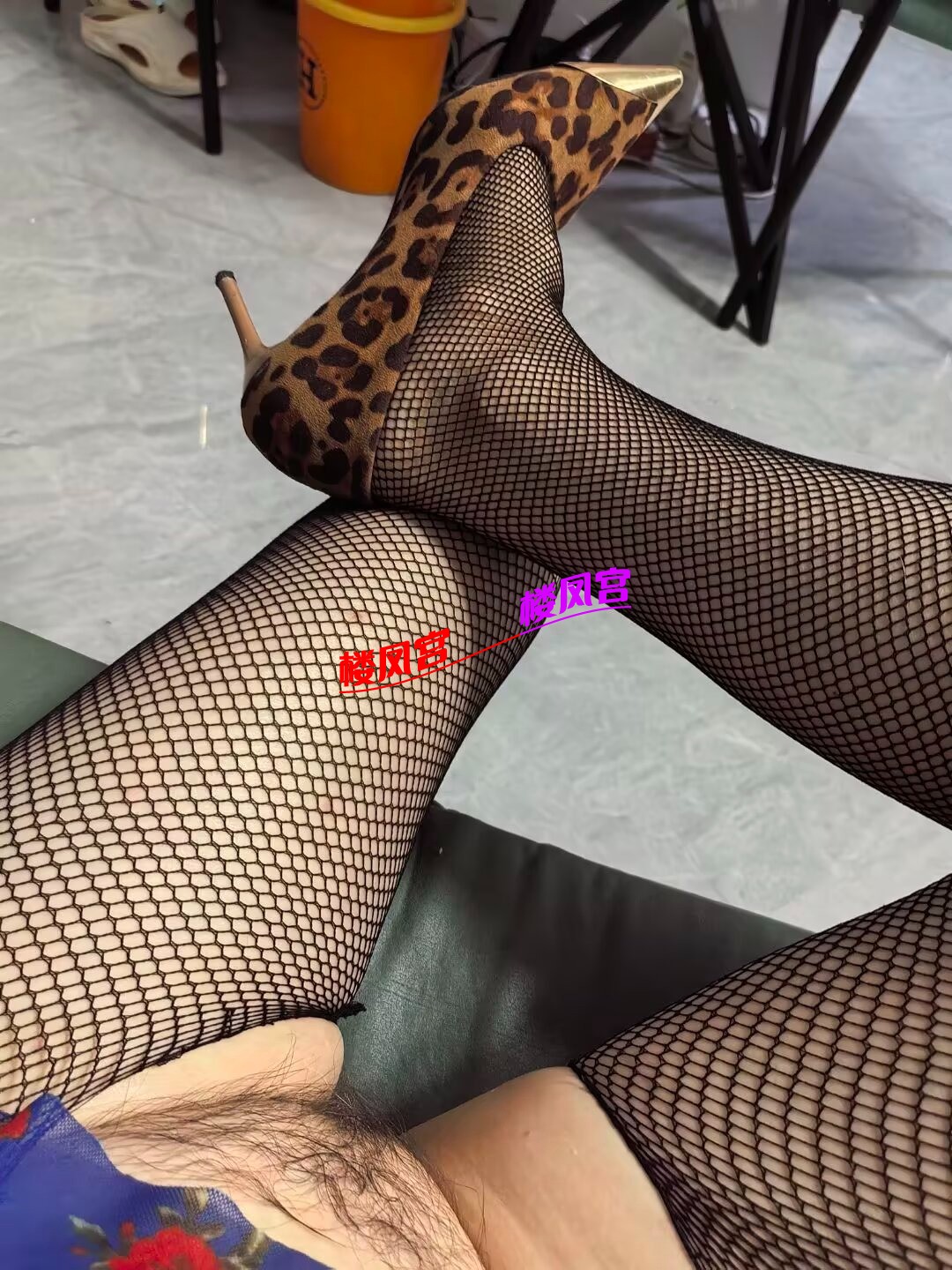 1000035016.jpg