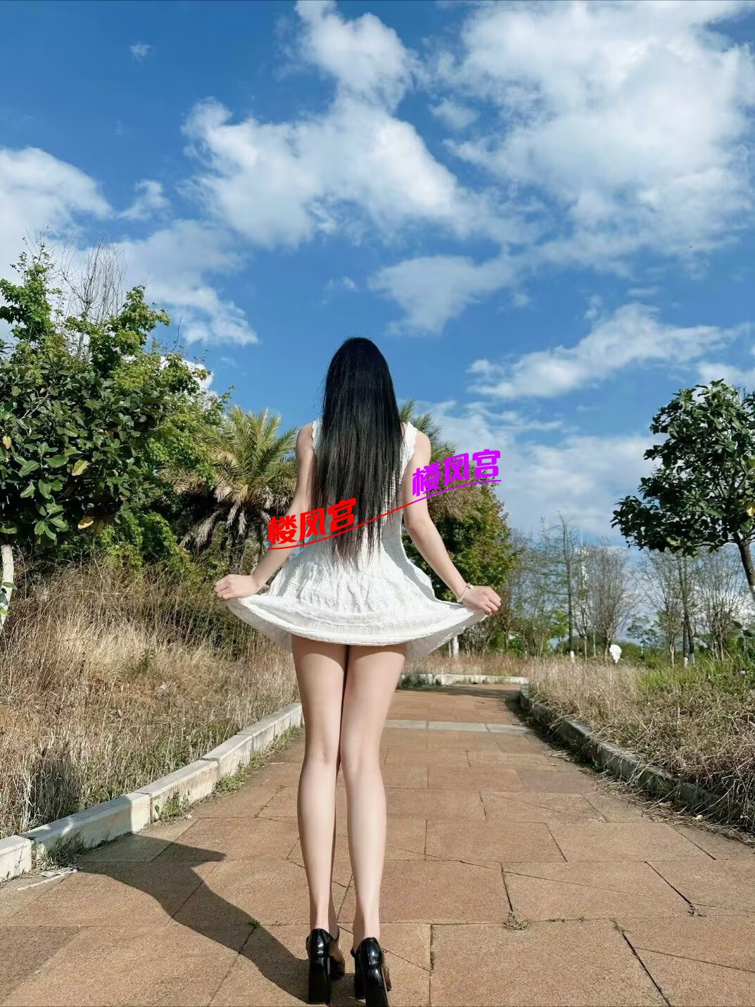 1000011698.jpg