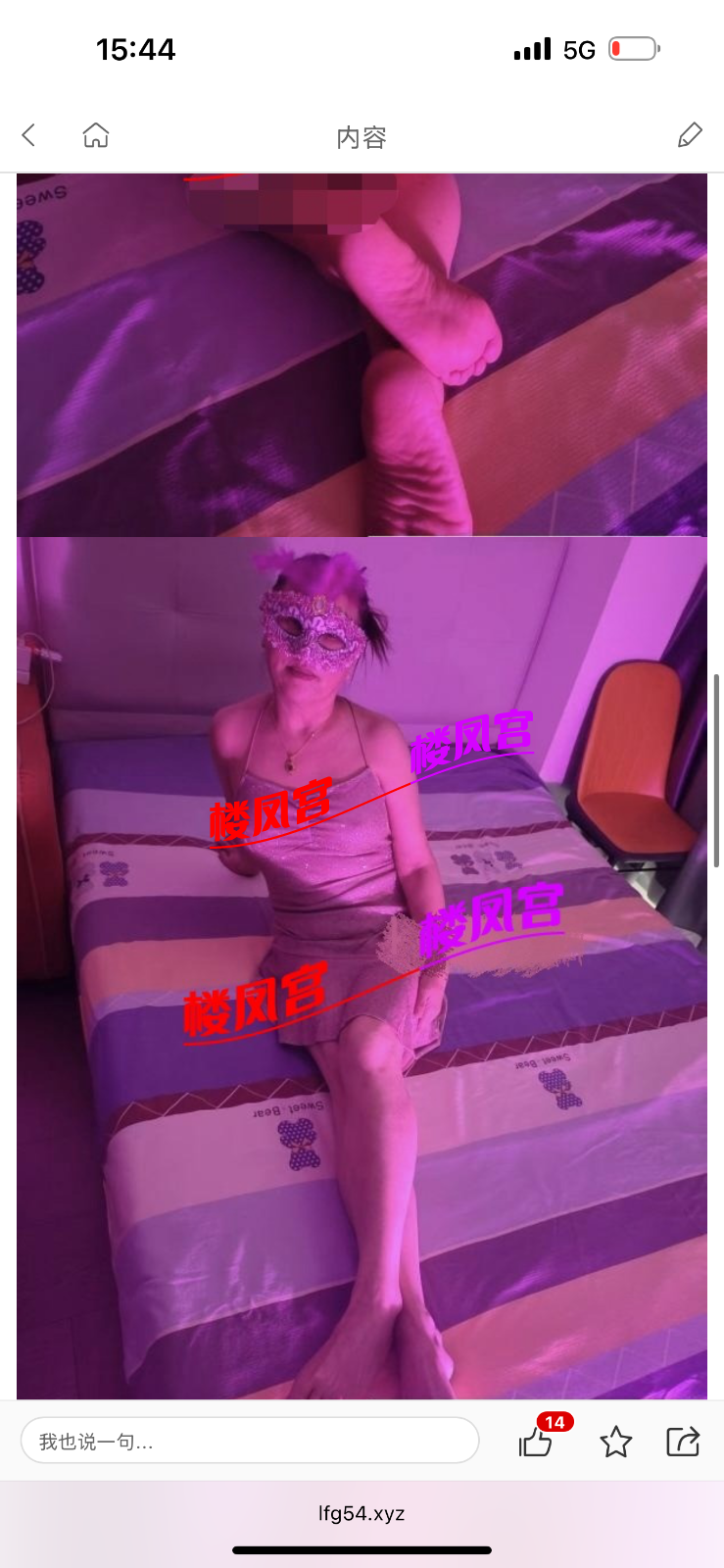 IMG_6540.png