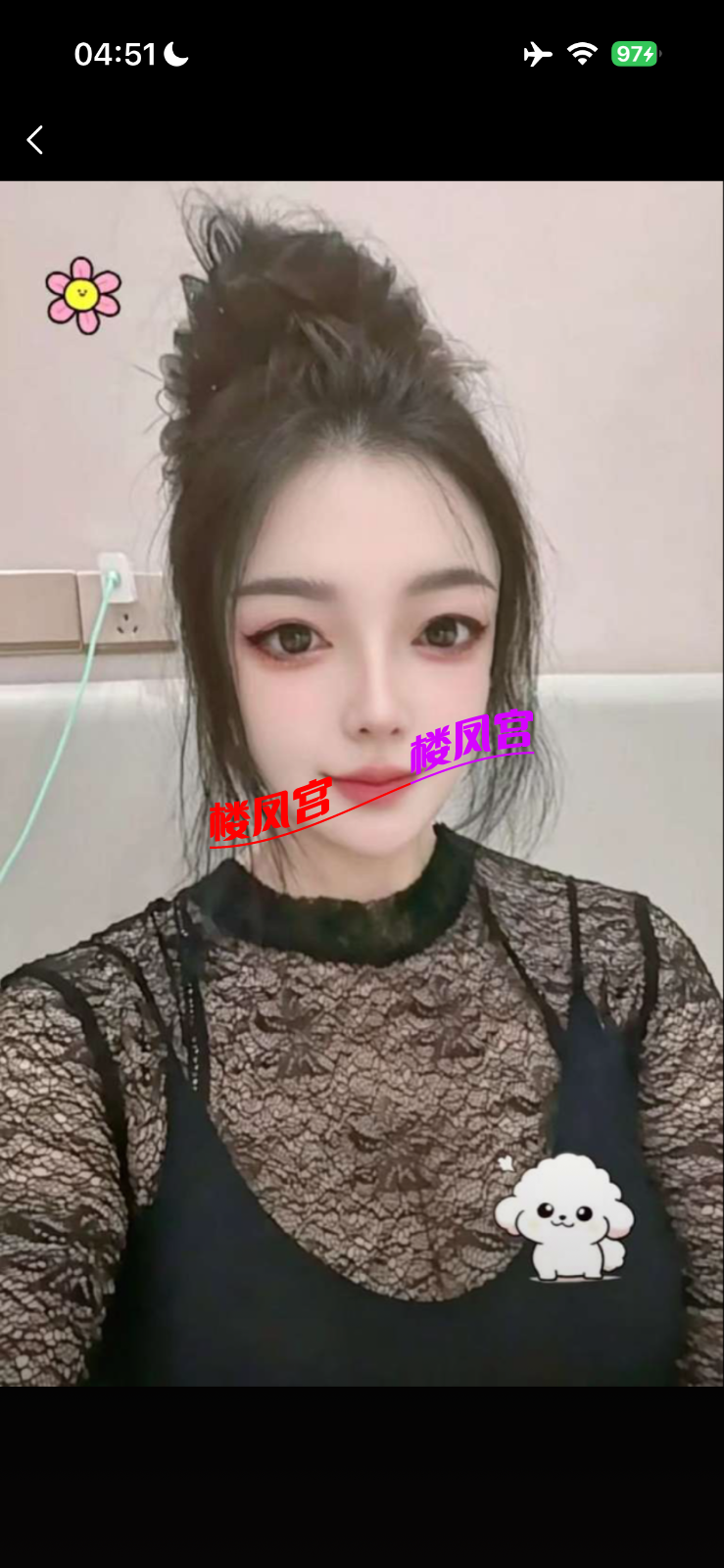 IMG_0379.png