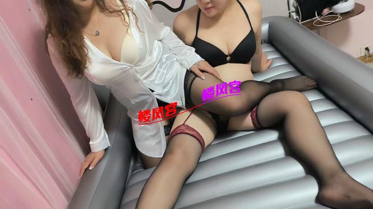 8529.jpg
