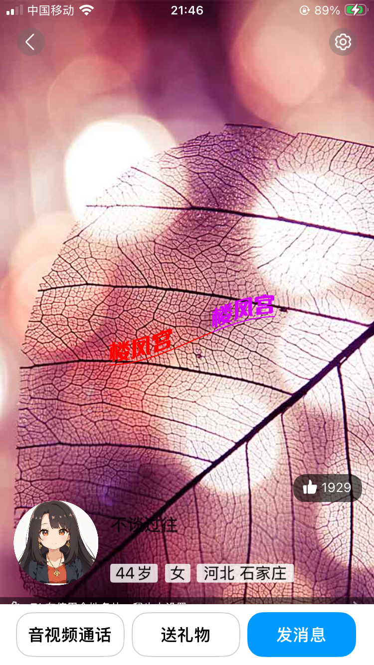 IMG_0042.png